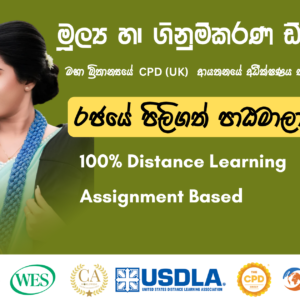 Diploma in Finance and Accounting