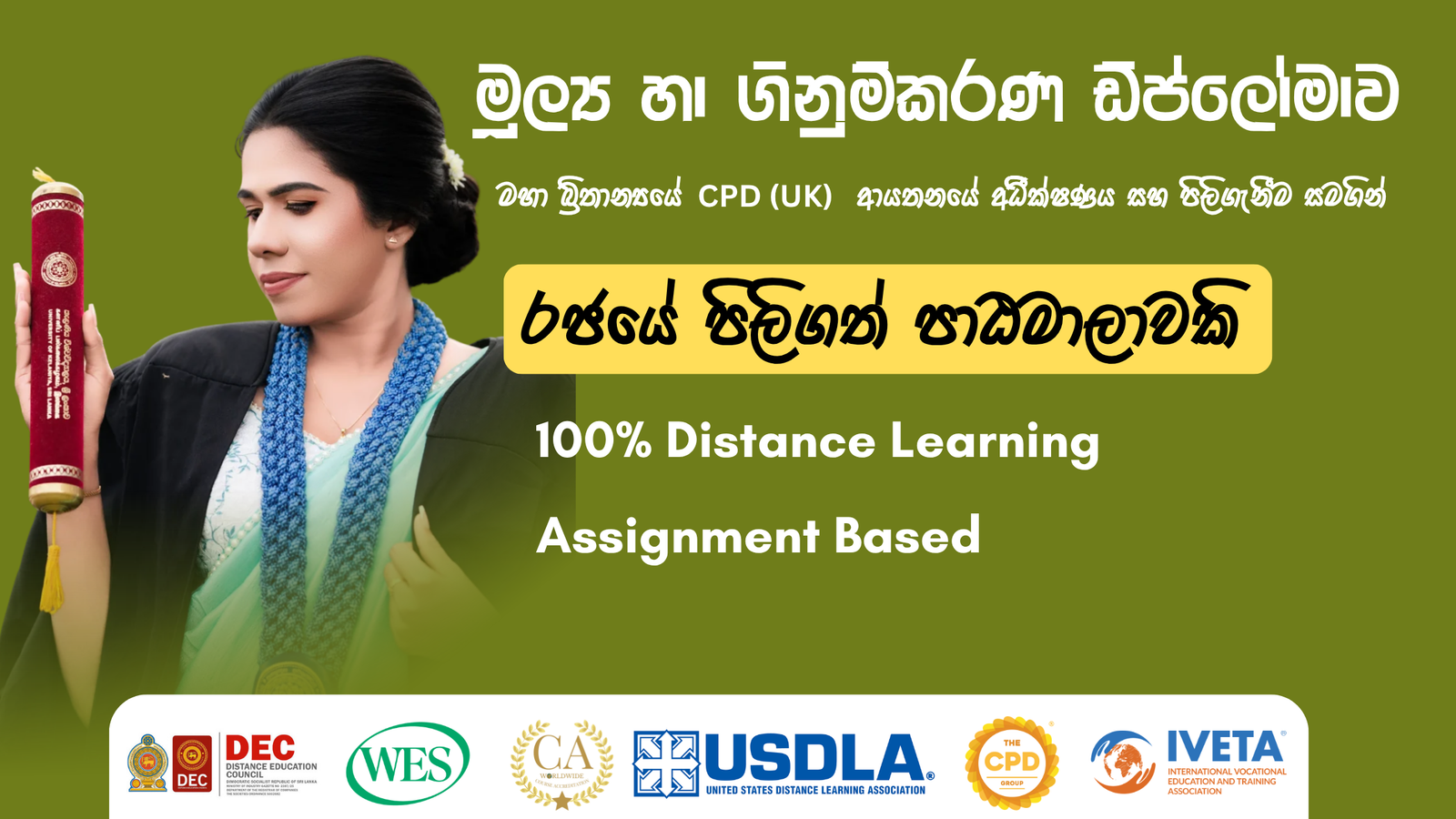 Diploma in Finance and Accounting