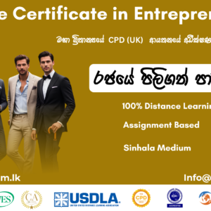 Executive Certificate in Entrepreneurship
