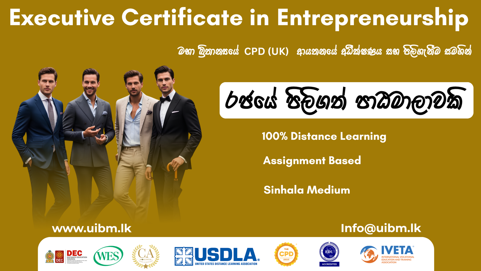 Executive Certificate in Entrepreneurship