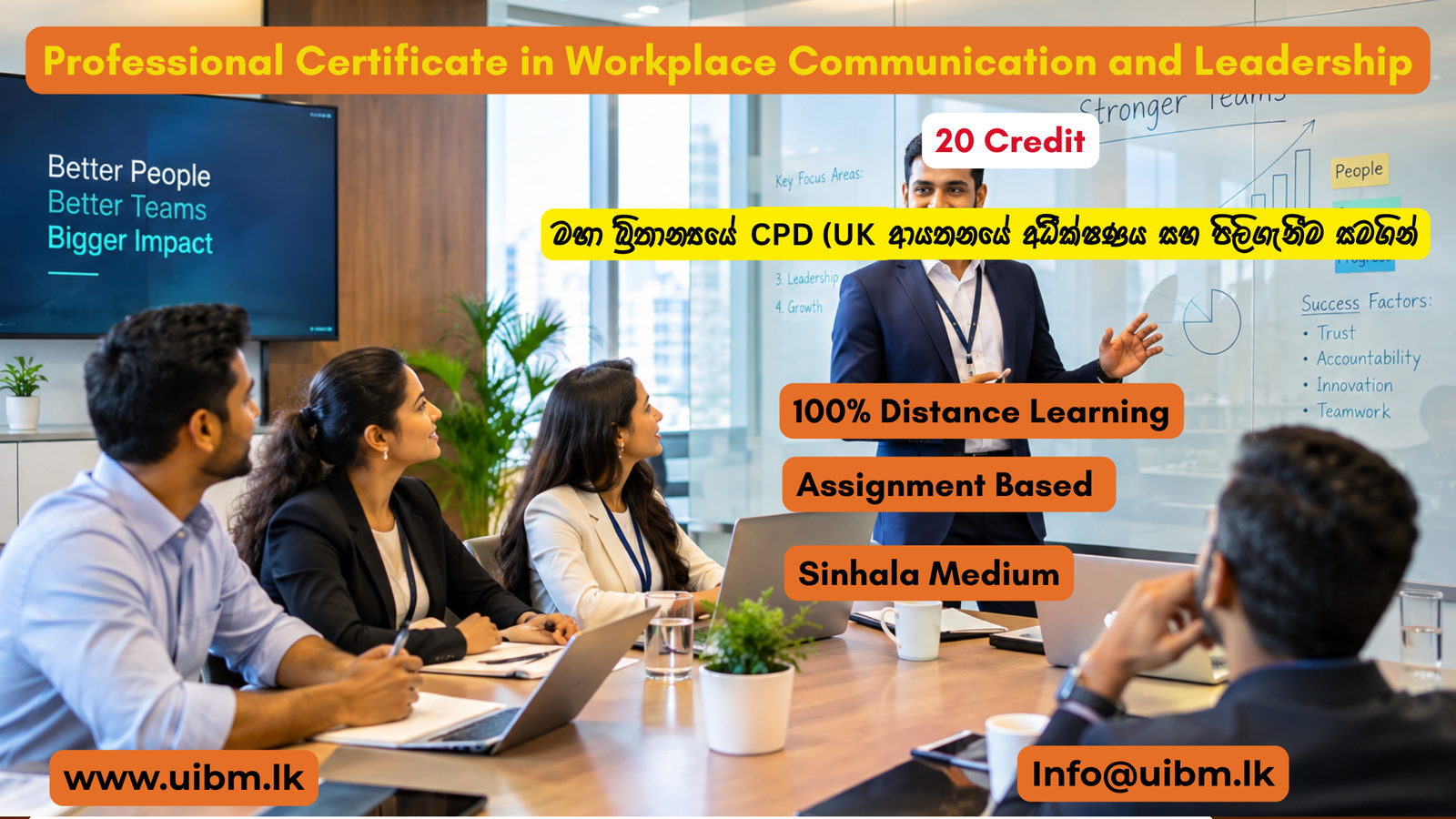 Professional Certificate in Workplace Communication and Leadership